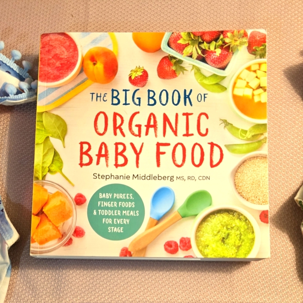 The Big Book of Organic Baby Food